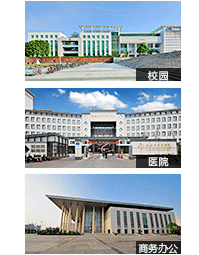 應(yīng)用領(lǐng)域